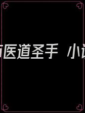 都市医道圣手 小说
